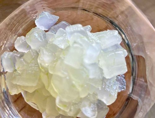 Aloe Boba: Using Fresh Aloe Gel Instead of Tapioca Pearls